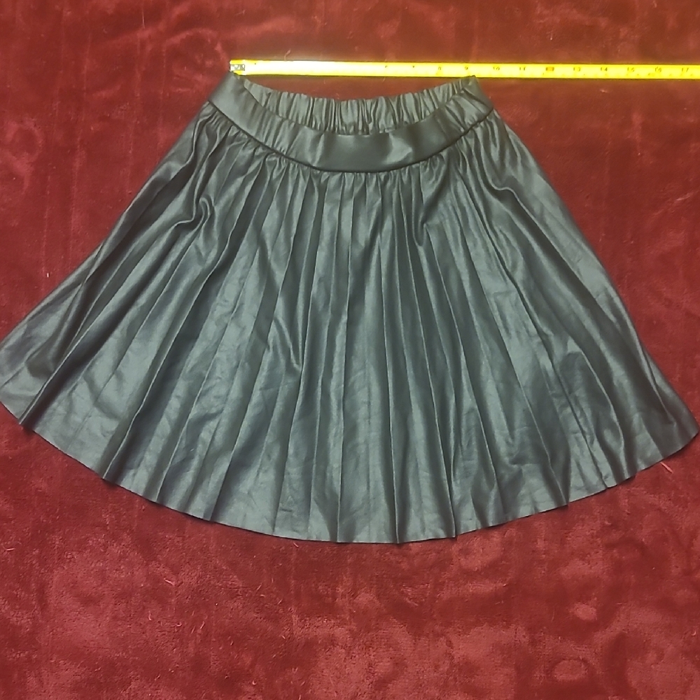 Zara Elegant Black Circle Skirt